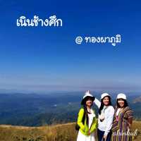ชมวิว 360 องศา @เนินช้างศึก