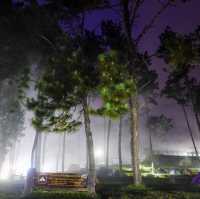 ลานกางเต๊นท์ม่อนสน