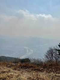 영월 봉래산 정산에서 패러글라이딩🪂