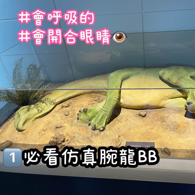 《恐龍展🦕必睇7項嬰幼龍醫護》