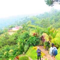 natural relax walk at San Flora Terra Batu