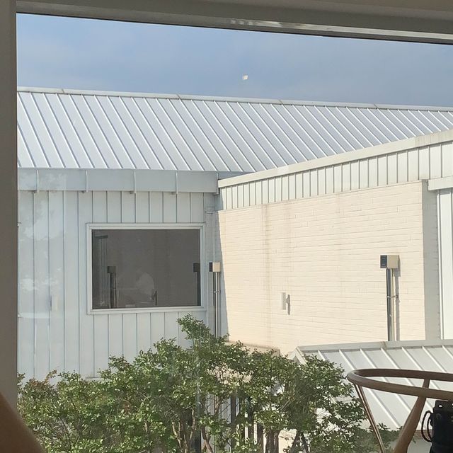 초록 초록한 통창뷰가 있는 기흥 카페 떼레노시떼 