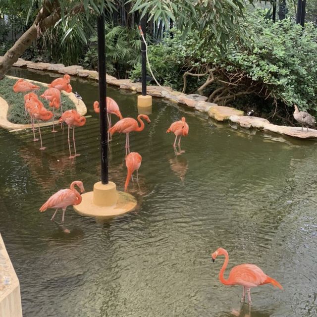抵玩性價比超值的staycation 