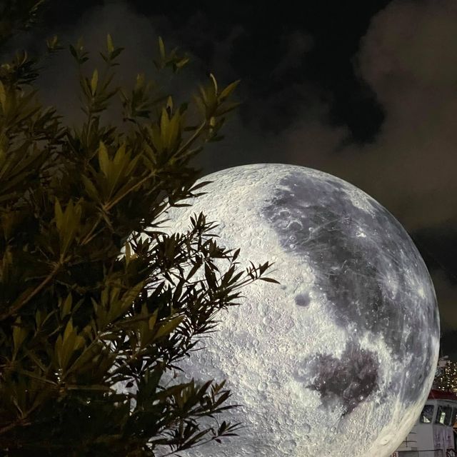 觀塘海濱月光中秋必去