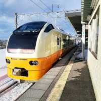 特急いなほの車窓から