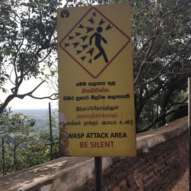 sigiriya Rock Lion roxxx me