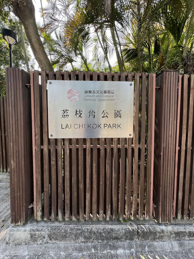 荔枝角公園放電 影相打卡 好去處🥰