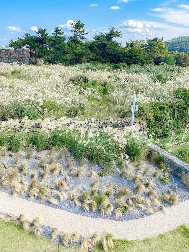 성산의 갬성 넘치는 핫플 카페 오른🌊