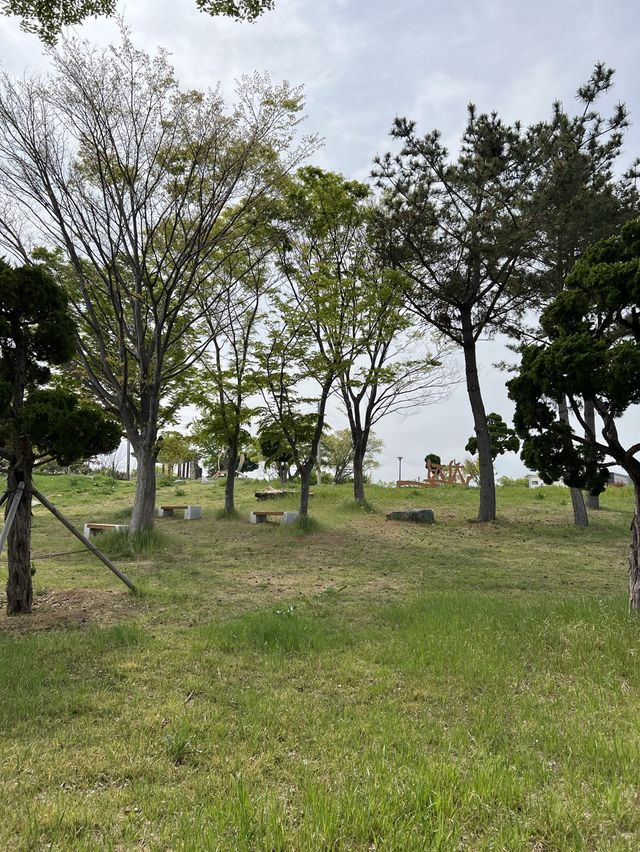 [경북 울진군] 후포 등기산 근린공원