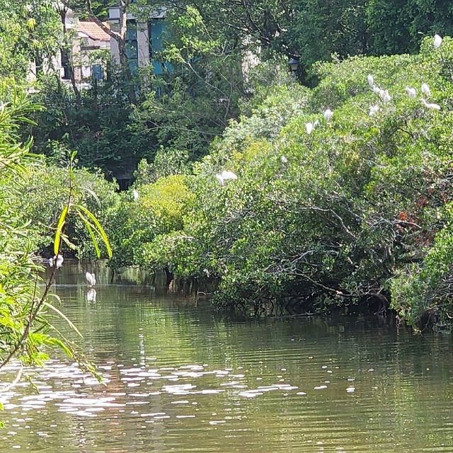 小白鷺餐廳