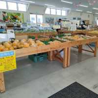 【兵庫　淡路島】産直野菜はその日の採れたて新鮮🌟🌟