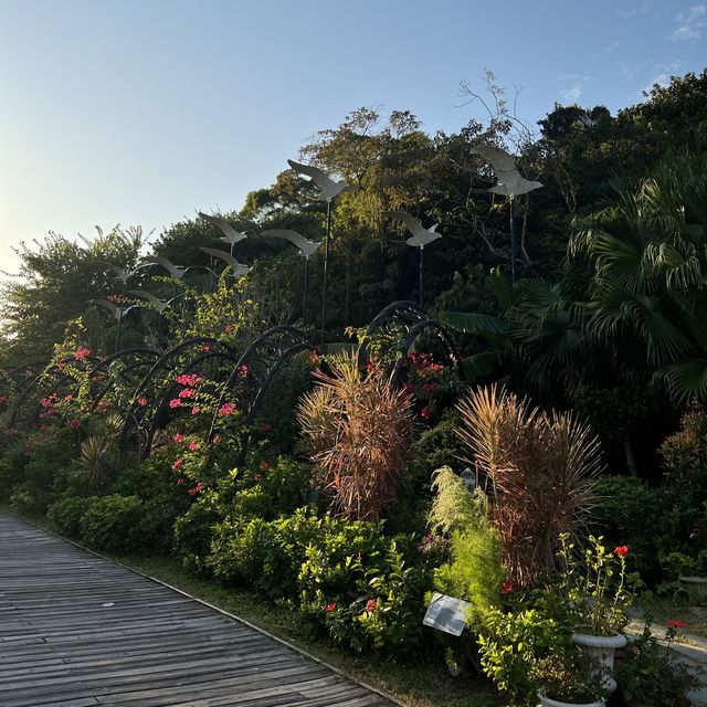 馬灣裏的秘密花園