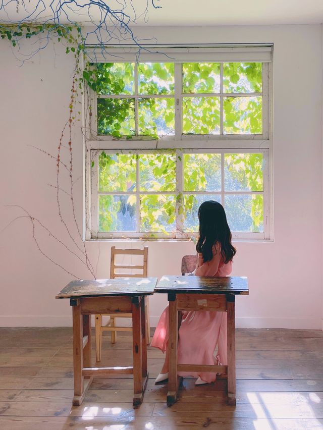 폐교를 개조하여 만든 미술관 ‘당진 아미미술관’ 🏫