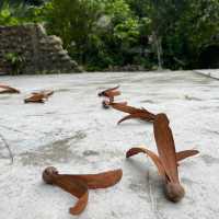 คาเฟ่ธรรมชาติ “ที่นี่บางเบาะ ป่าตอง”
