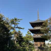🪴 信步悠美的日式庭園 - 橫濱 三渓園