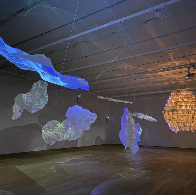 去大館扮去teamlab - 《潛入你眼簾— 皮皮樂迪‧里思特》,