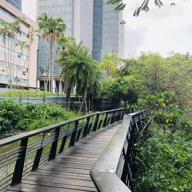 綠意盎然🌳🌿松山文創園區 Songshan Cultural and Creative Park
