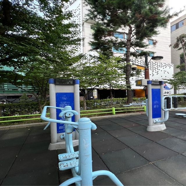 🇰🇷 Apgujeong Fitness Park 