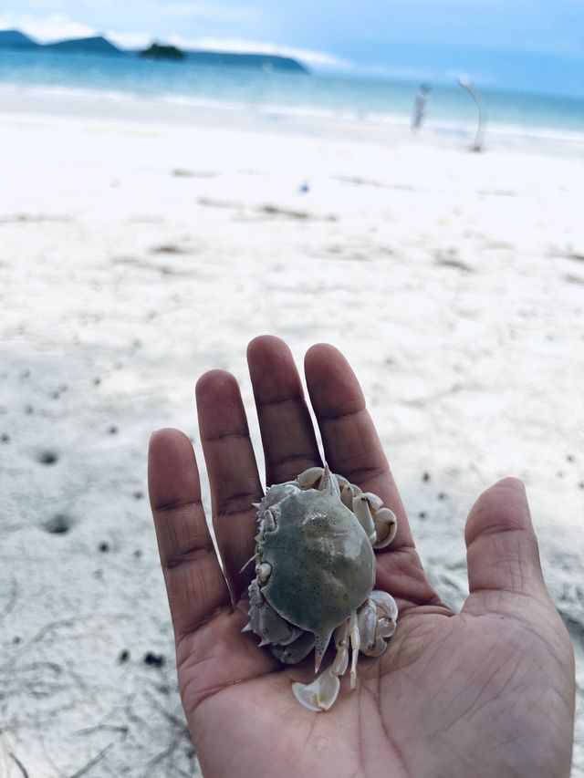 🏝️🏖️Relaxing at Koh Rong Island⛱️