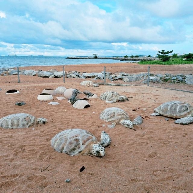 Do you know about Tanjung Bidara Beach?