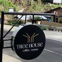 TH Tree House Along the Road