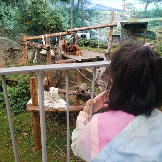 親子遊【新竹市區】新竹市立動物園