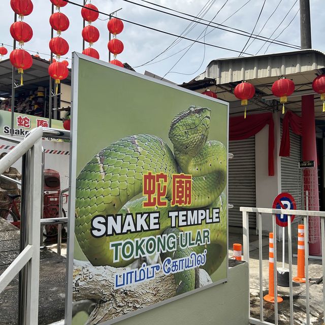 廟裡有蛇！