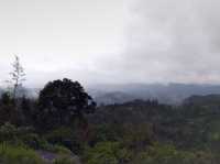 Munmar - Misty Hill Station 