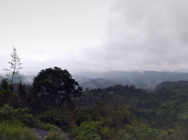 Munmar - Misty Hill Station 