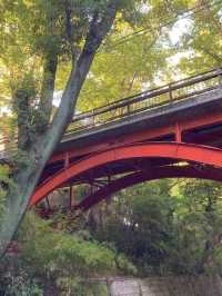 도심속 산과 계곡-도쿄 토도로키 계곡🌳