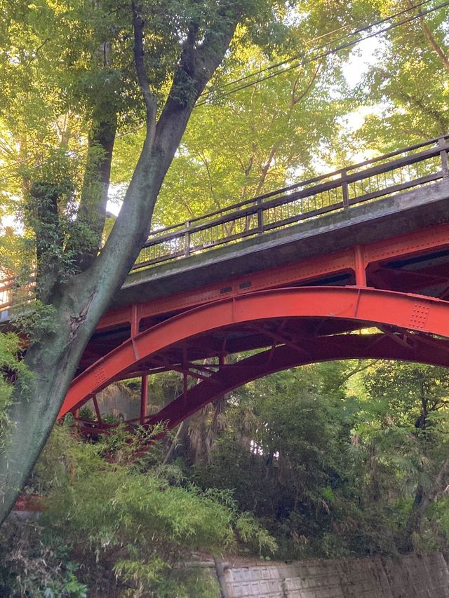 도심속 산과 계곡-도쿄 토도로키 계곡🌳