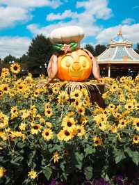 Halloween Arrives at Shanghai Disneyland🎃