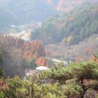 Autumn Season in Daejeon