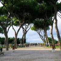 Spanish Steps and Orange Trees Garden 