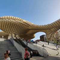 Mushrooms of Seville 