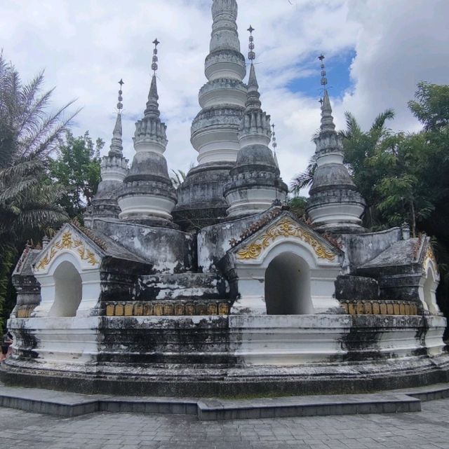 Dense forest with stunning temple 