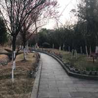 Confucious Temple in Ancient city Langzhong