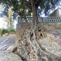 Stroll through time in the Tuanshan Village