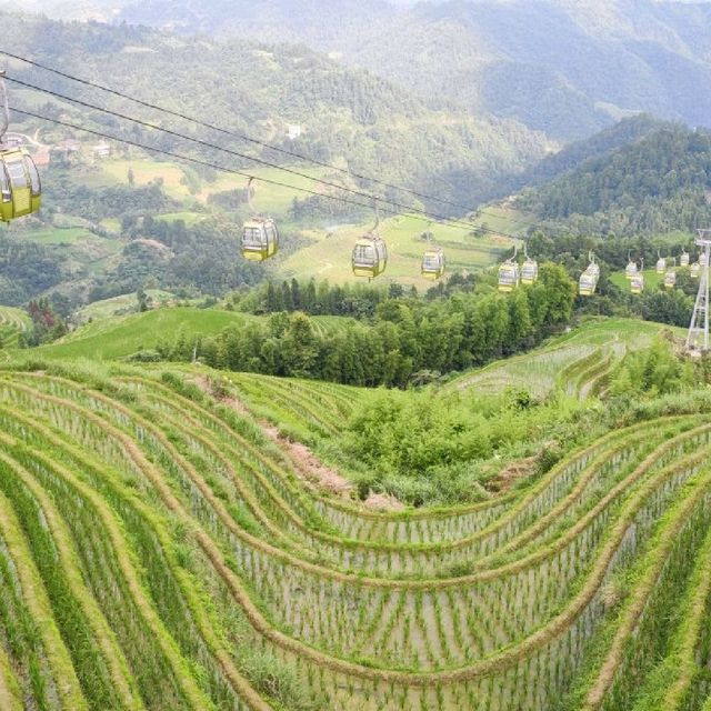 Beautiful Rice Terraces