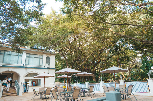 尋找鬧市中的寧靜 - 九龍公園
