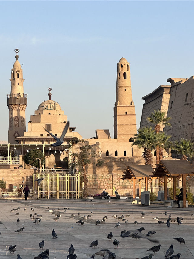 The charming morning of Luxor.