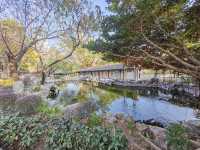 Kowloon Walled City Park | Hong Kong