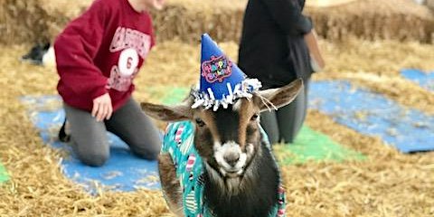 Goat Yoga Nashville- Almost New Year's Eve Class | Goat Yoga Nashville