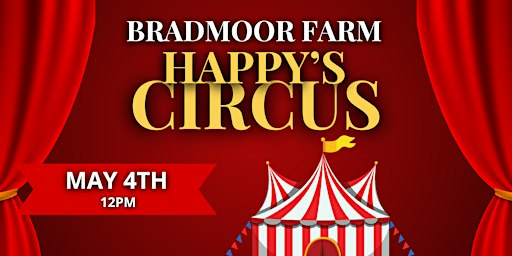 Happy's Circus | Bradmoor Farm