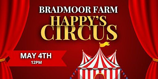 Happy's Circus | Bradmoor Farm