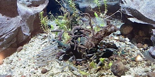 Dietro le quinte dell'Acquario | Acquario Civico e Stazione Idrobiologica di Milano