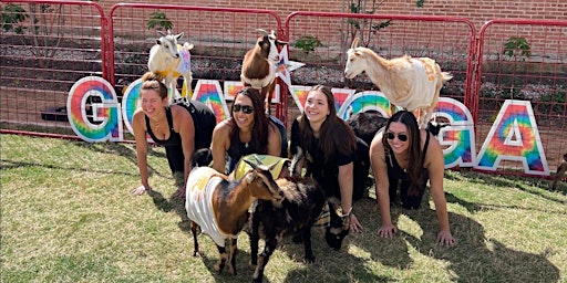 Halloween Costume Goat Yoga @ Harwood Park! | Harwood Park