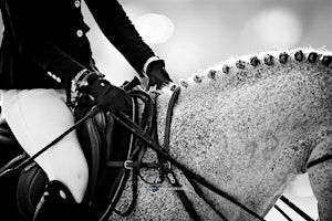 The $25,000 Chestnut Park/ Carolyn Scime Grand Prix | Caledon Equestrian Park