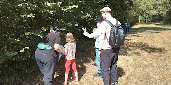 Tremendous trees at NWT Foxley Wood (EDU FAMILY) | Norfolk Wildlife Trust Foxley Wood
