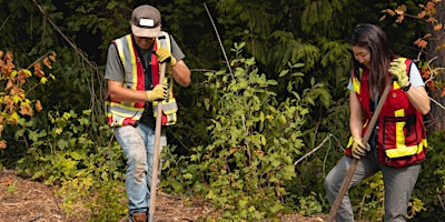 A Rocha Volunteer Day | A Rocha's Brooksdale Environmental Centre